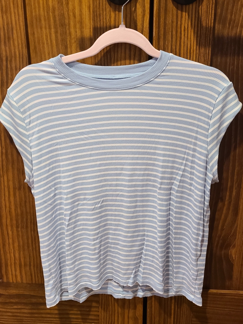 American Eagle Outfitters Light Blue & White Striped Short Sleeve Tee